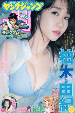 一级碟片dvd